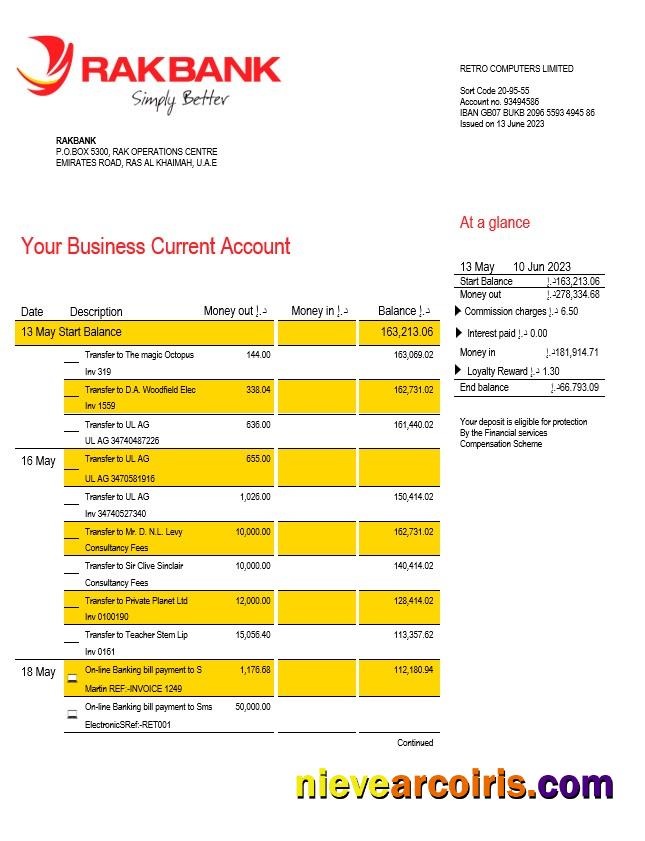 Rakbank enterprise account statement